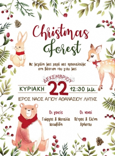 A.Χριστουγεννιάτικο Ζωάκια του δάσους